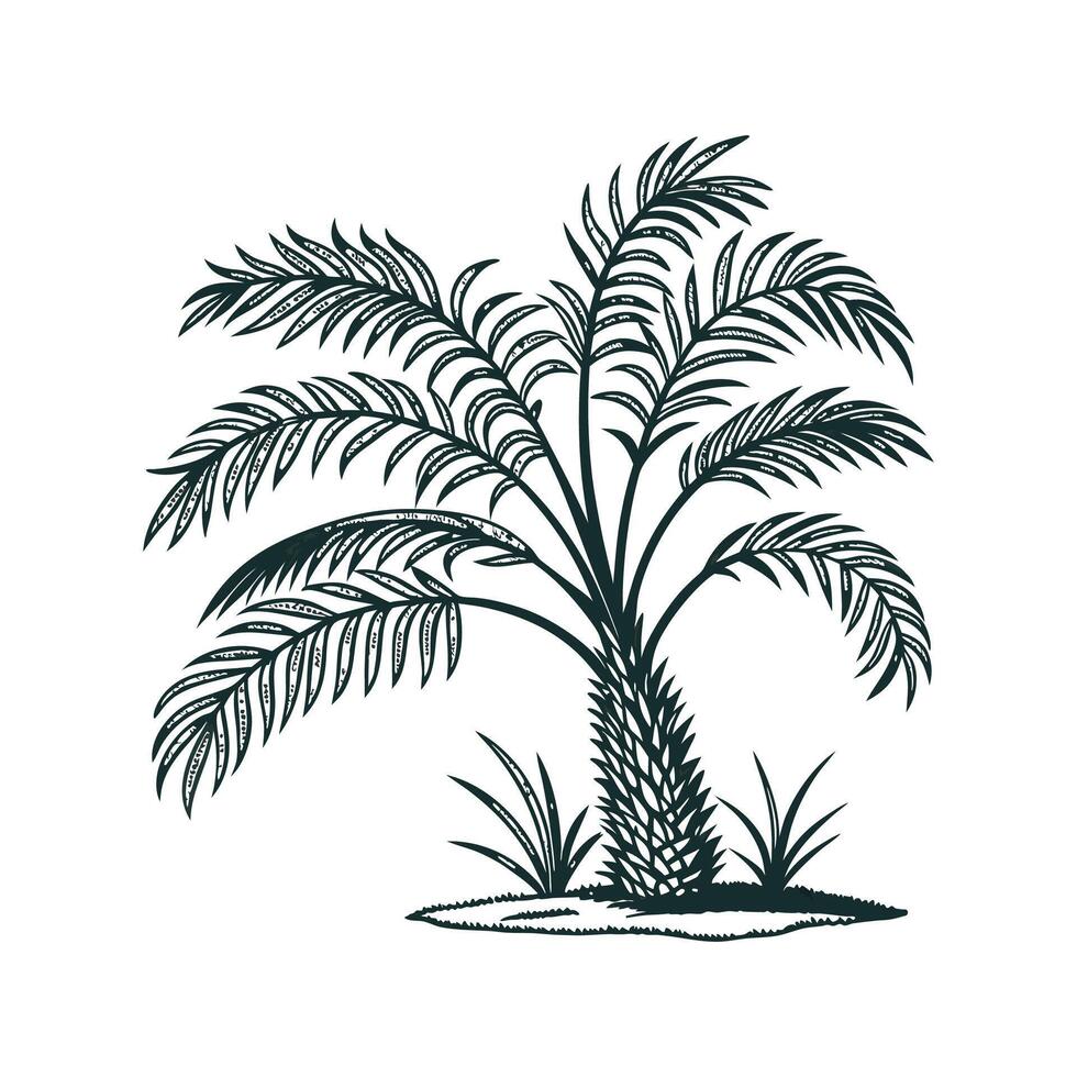 Gorgeous Parlor Palm on Bright White Background vector