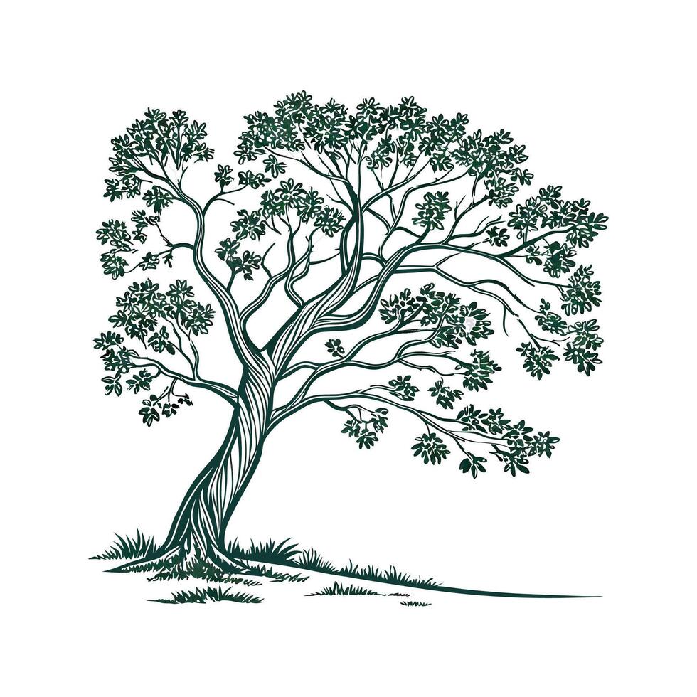 Gorgeous Peepul Tree on Bright White Background vector