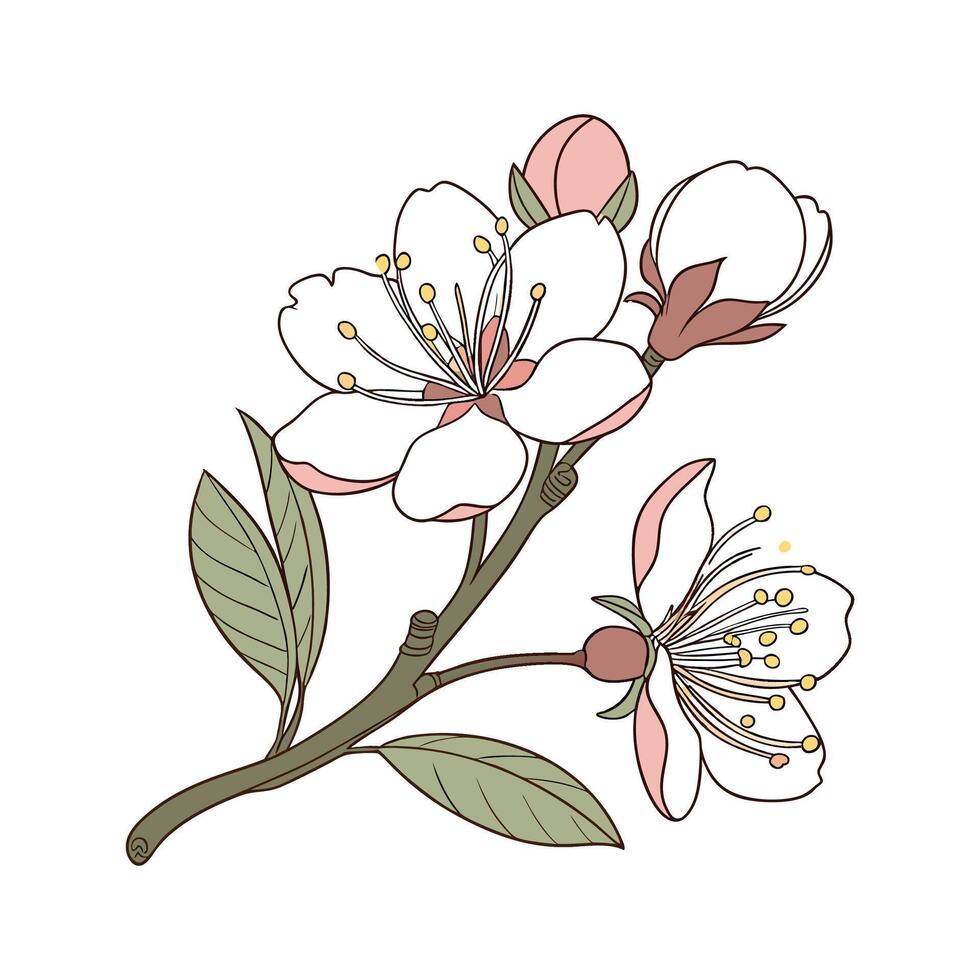 Charming Rhododendron Flower Displayed on Clean White vector
