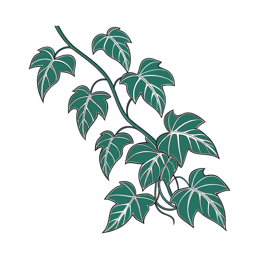 Stunning Philodendron Plant on Clean White Background vector