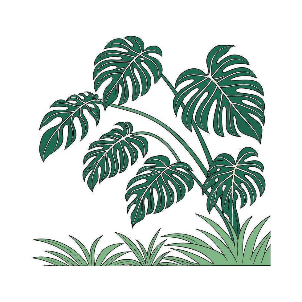 Charming Philodendron Plant Illustration vector