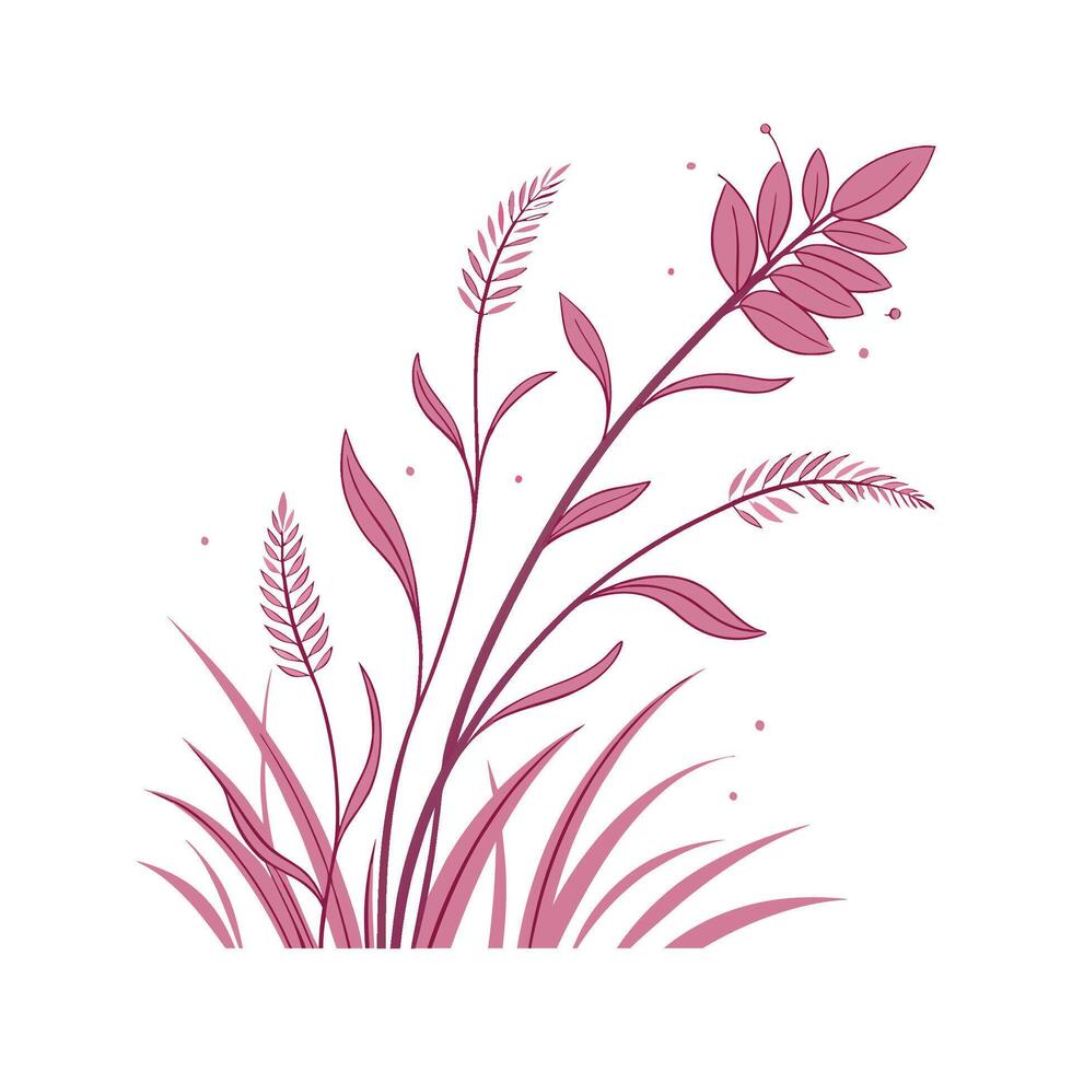 Vibrant Pink Quill Plant Displayed on Bright White vector