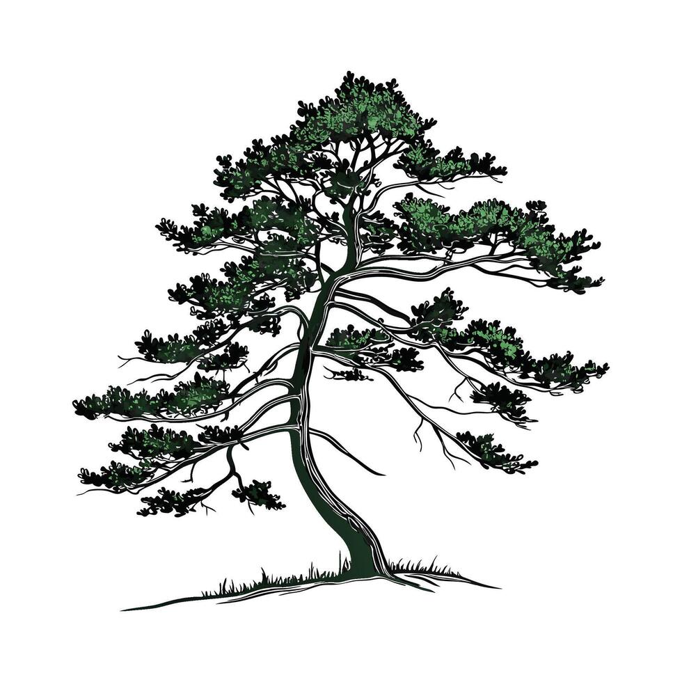 Charming Pine Tree on Bright White Canvas vector