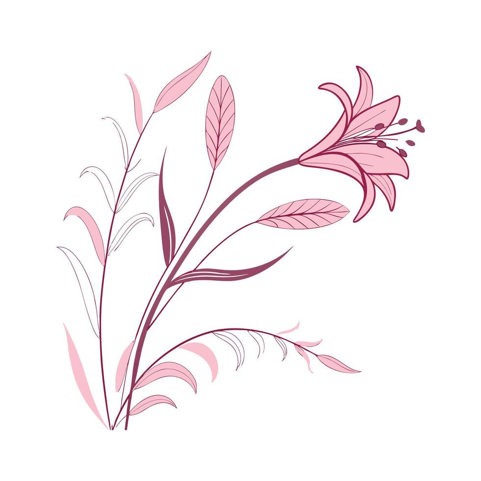 Elegant Pink Quill Plant on Bright White Surface vector