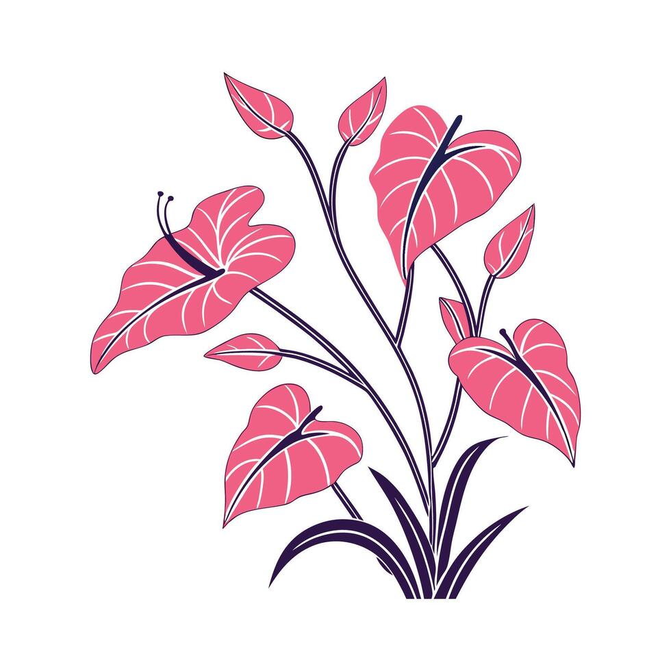 Charming Pink Syngonium Displayed on Clean White vector