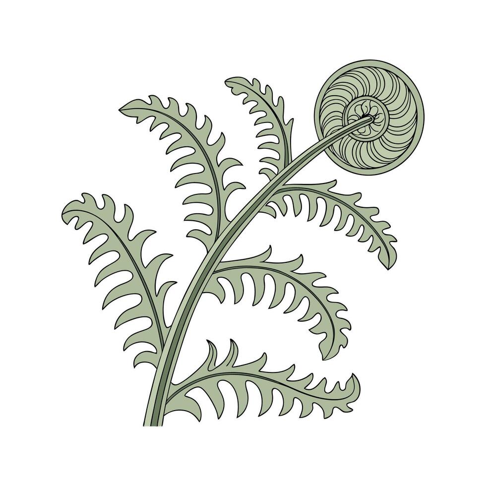 Stunning Platycerium Plant on Clean White Background vector