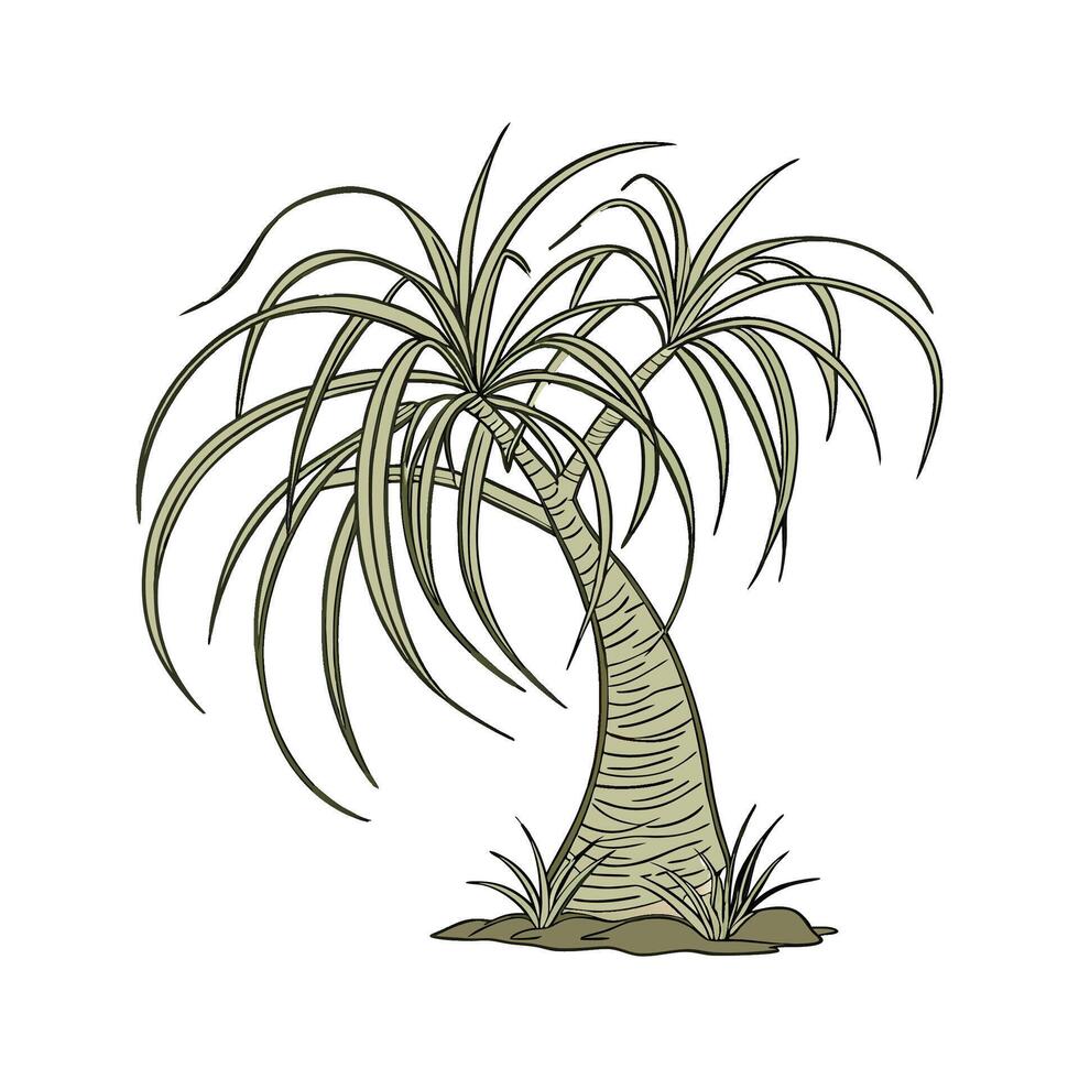 Elegant Ponytail Palm Beaucarnea Recurvata Plant Illustration vector