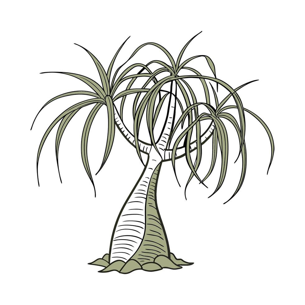 Charming Ponytail Palm Plant Unique Design vector