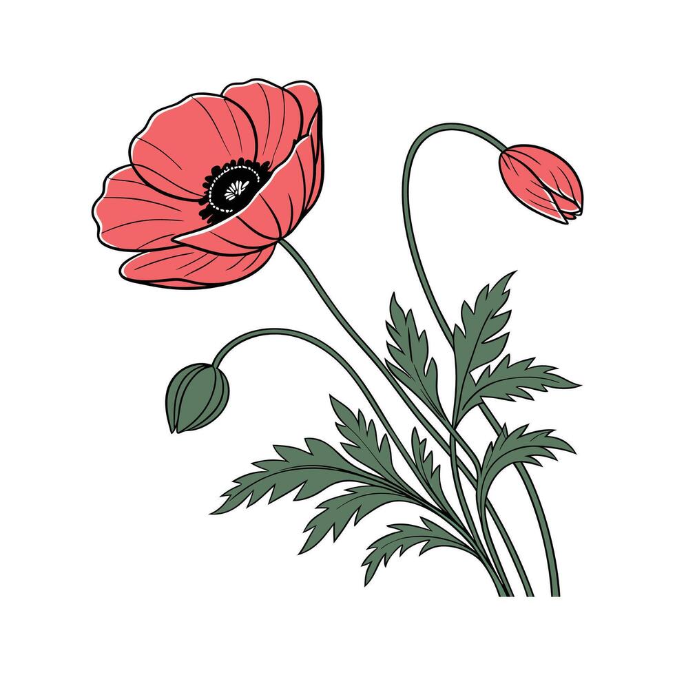 Charming Poppy on Bright White Canvas vector
