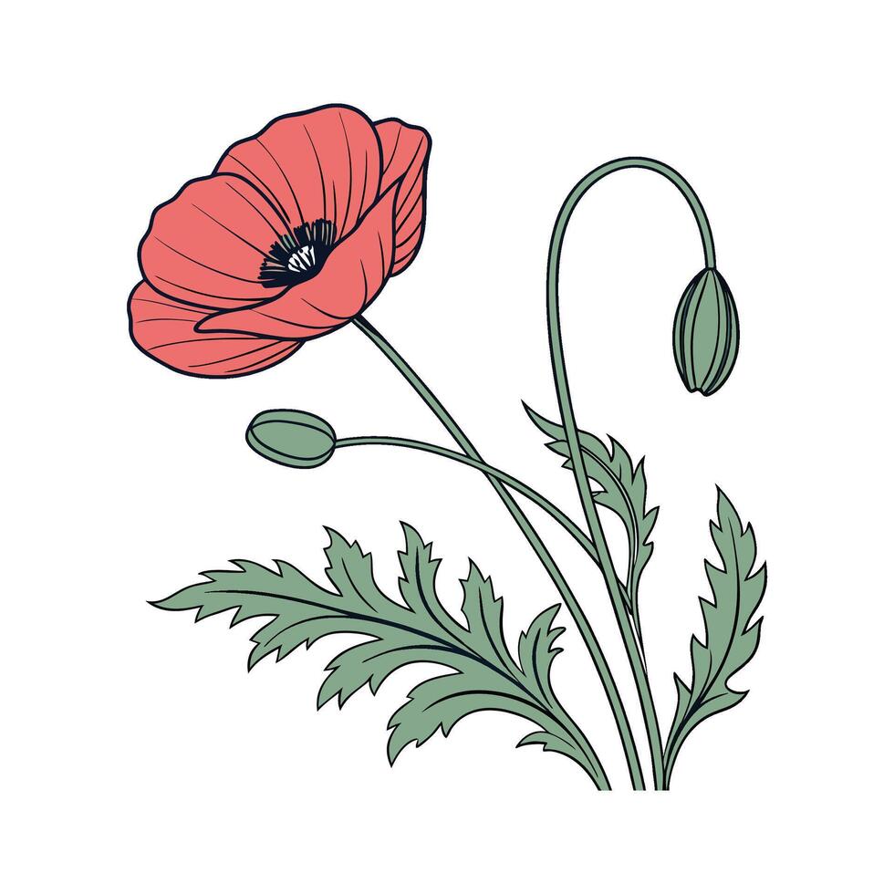 Elegant Poppy on Clean White Surface vector