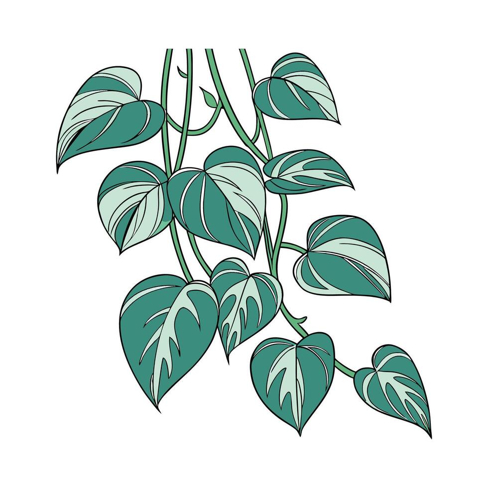 Beautiful Neon Pothos on Clean White Background vector