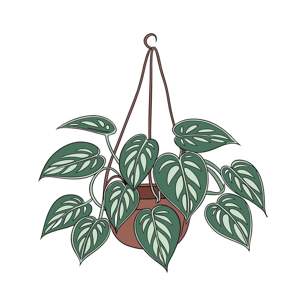 Elegant Pothos on Clean White Surface vector