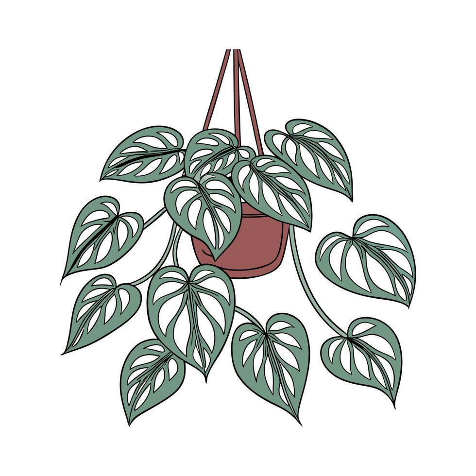 Stylish Pothos Plant Unique Design vector