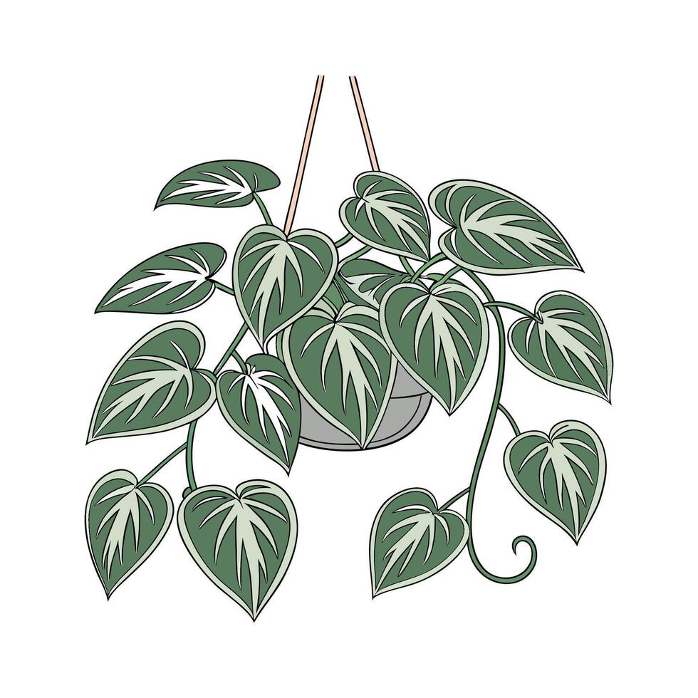 Charming Pothos Plant Illustration vector