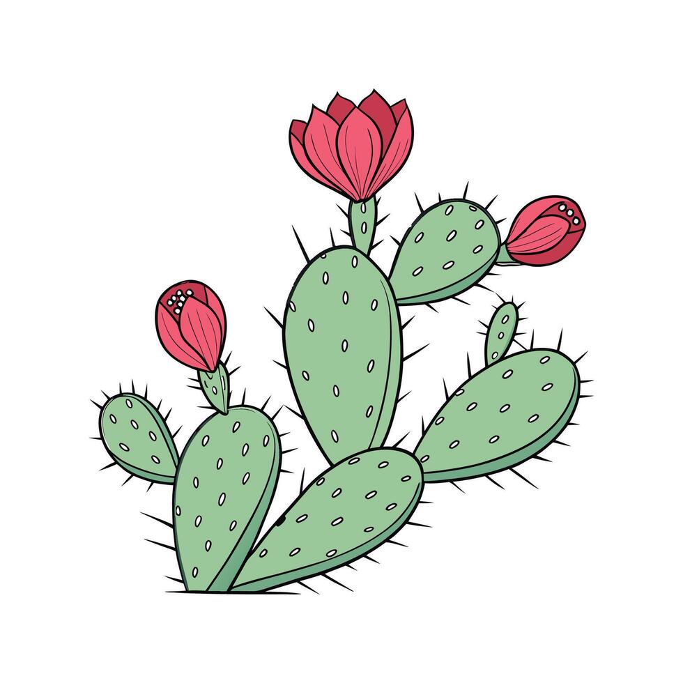 Beautiful Prickly Pear on Clean White Background vector