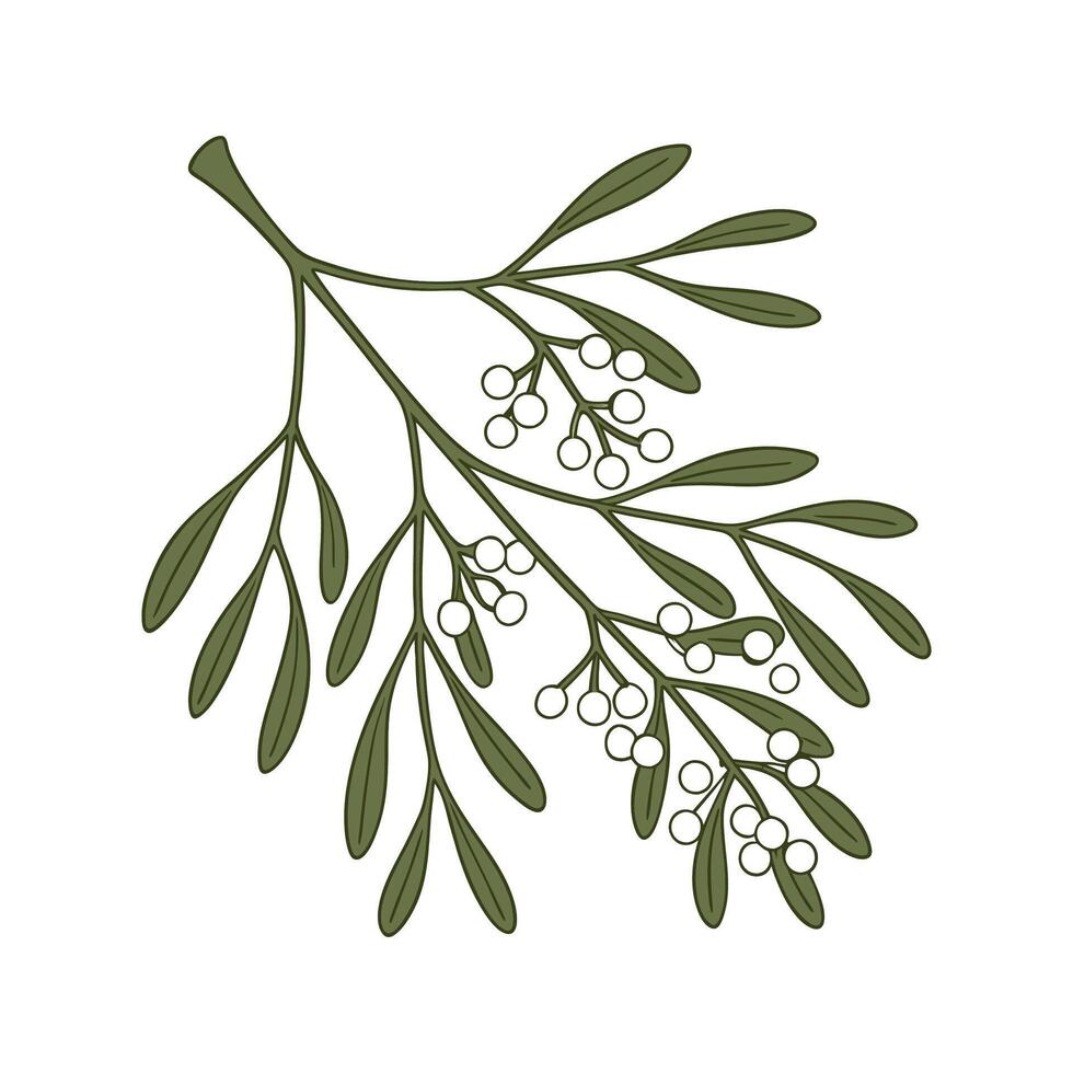 Beautiful Pseudorhipsalis on Clean White Background vector