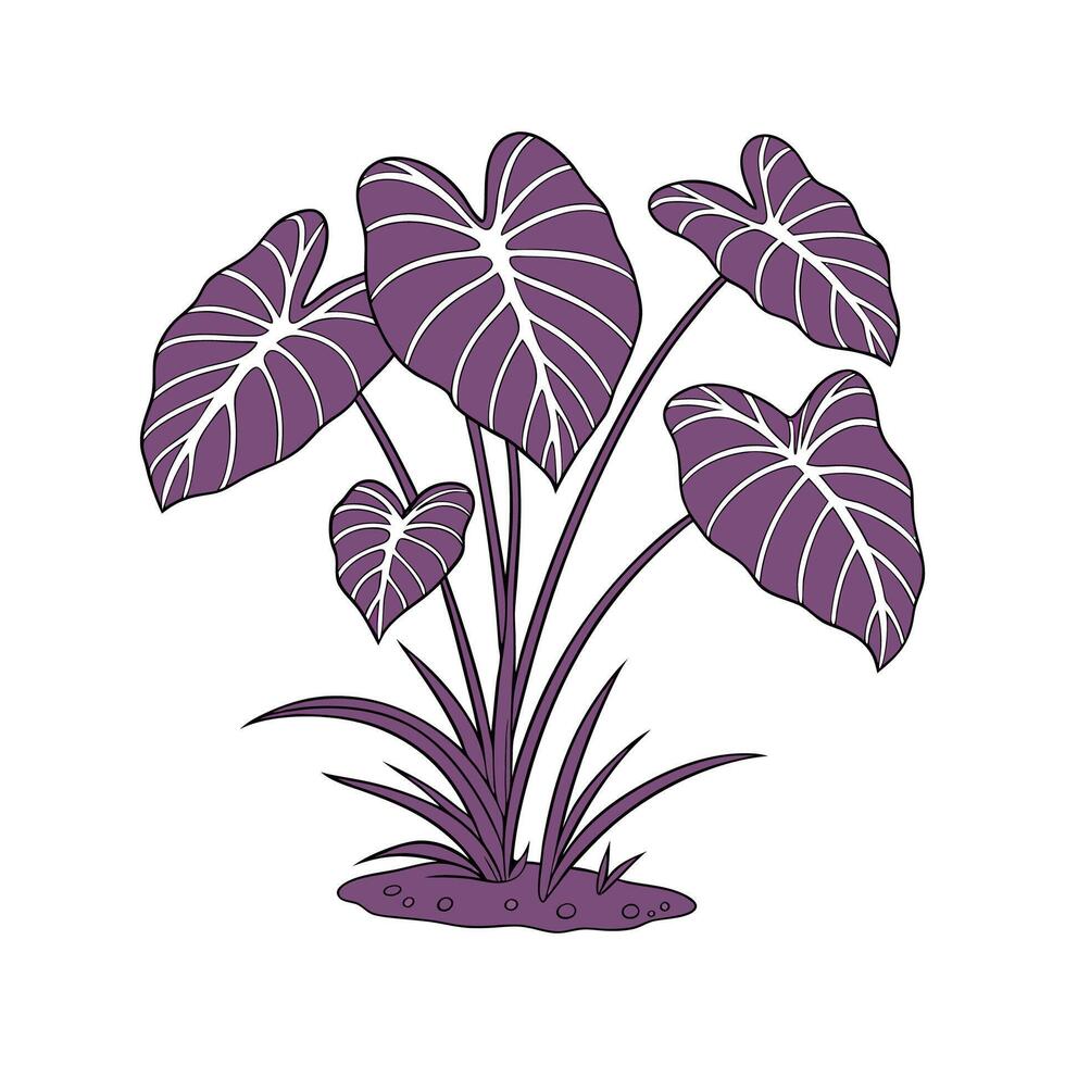 Elegant Purple Heart Plant on Bright White Canvas vector