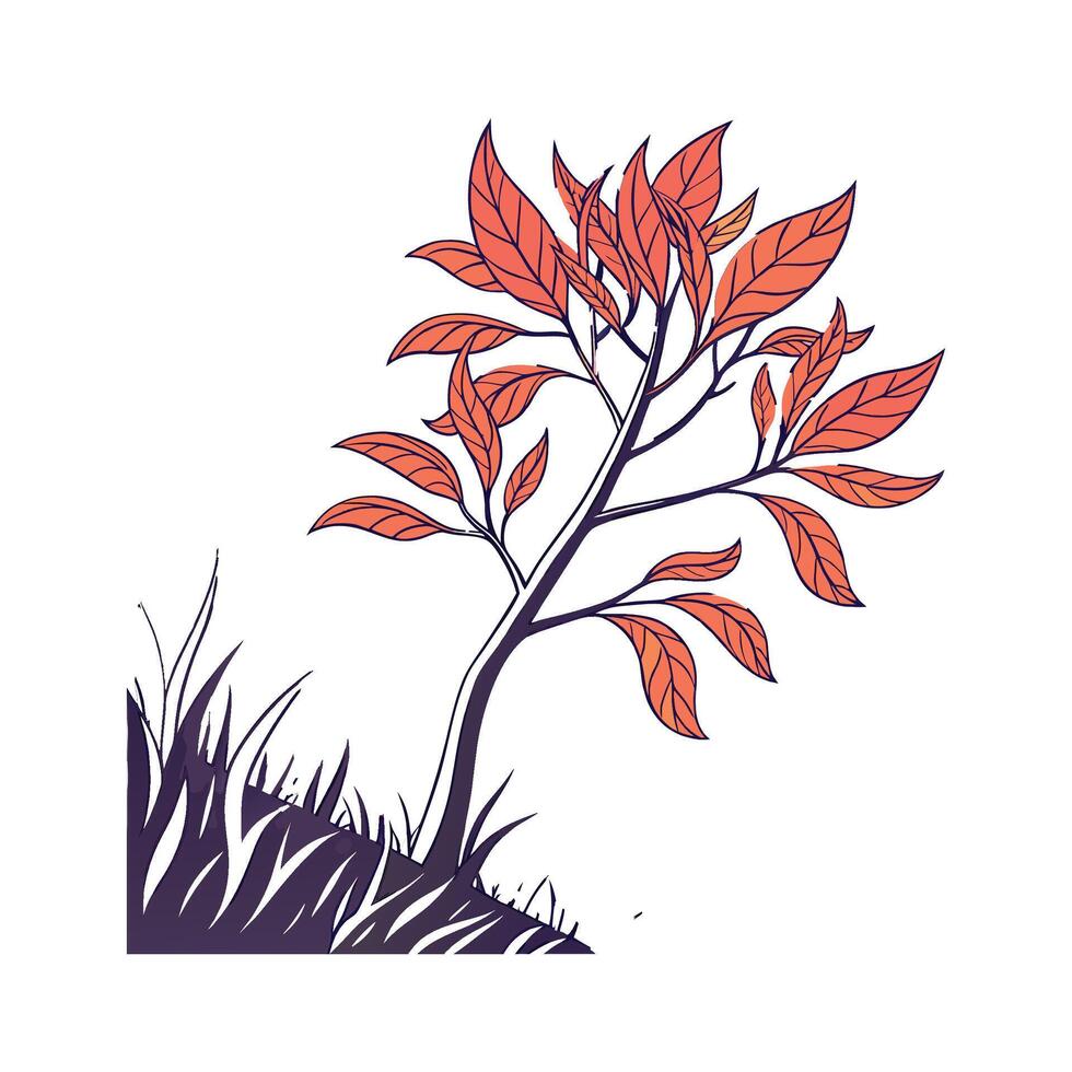 Vibrant Pyromania Plant Displayed on Bright White vector