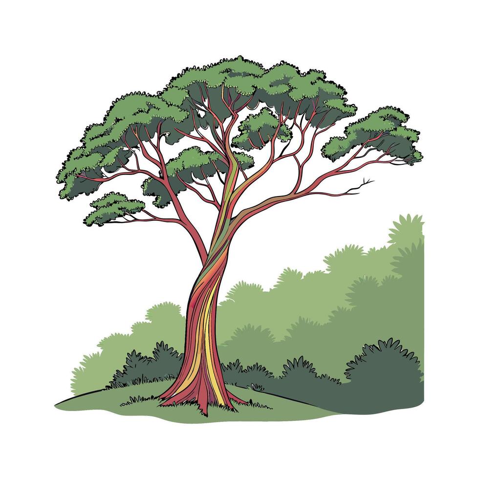 Stunning Rainbow Eucalyptus on Clean White Surface vector