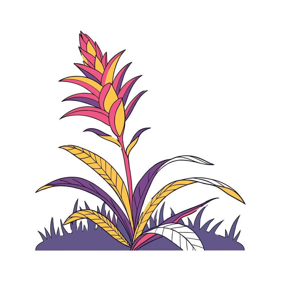 Elegant Rainbow Bromeliad on Bright White Canvas vector