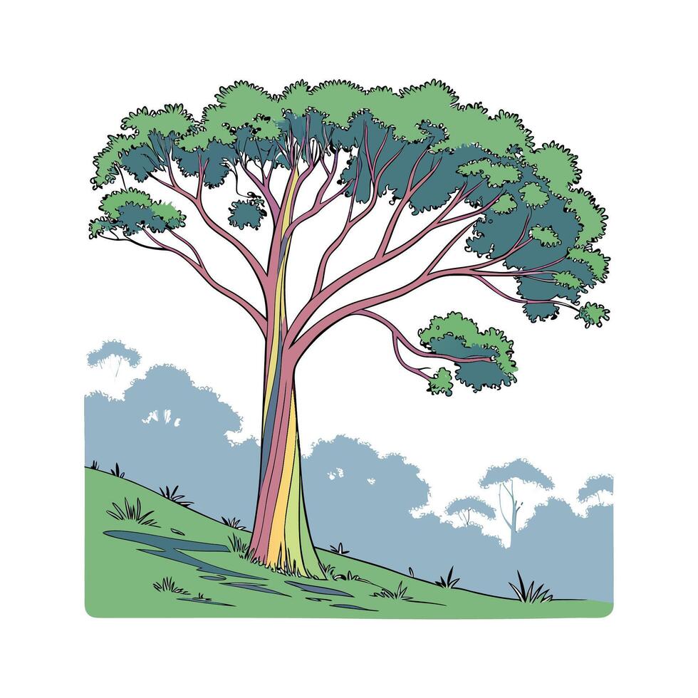 Distinctive Rainbow Eucalyptus Plant Illustration vector
