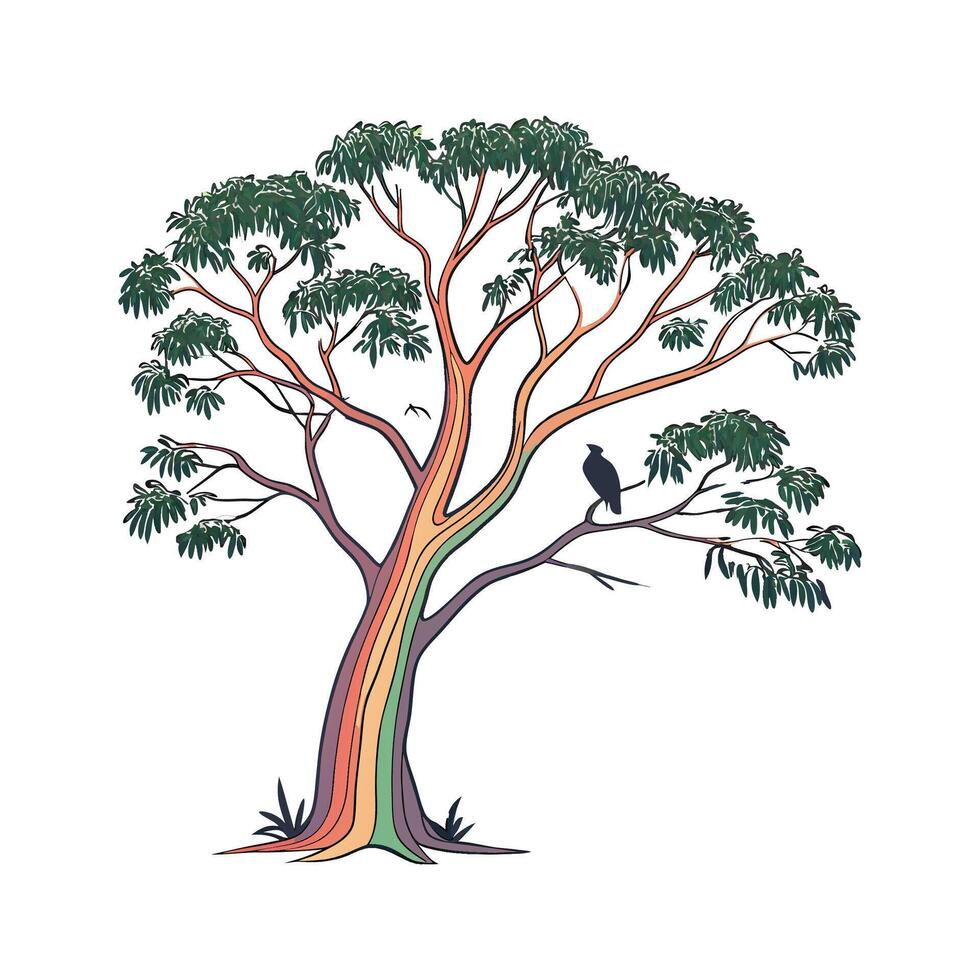 Elegant Eucalyptus Deglupta on Clean White Surface vector