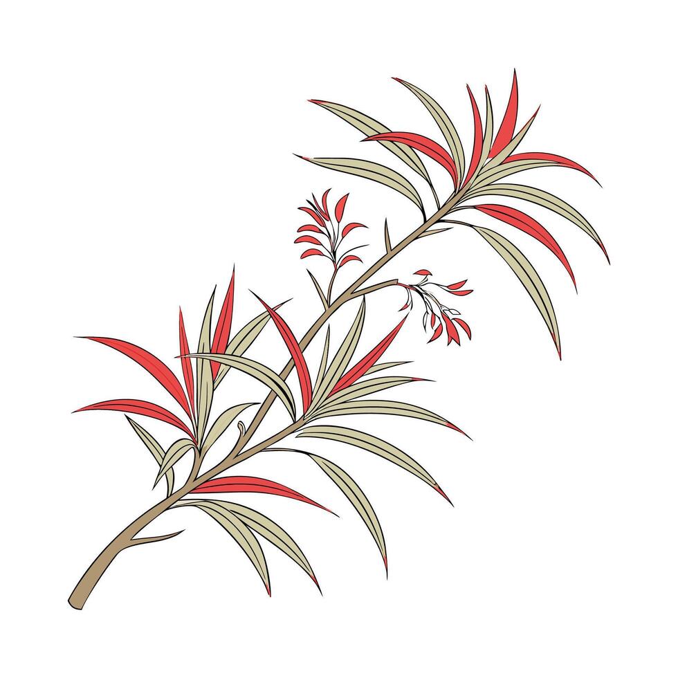 Stunning Dracaena Marginata with Red Edges vector