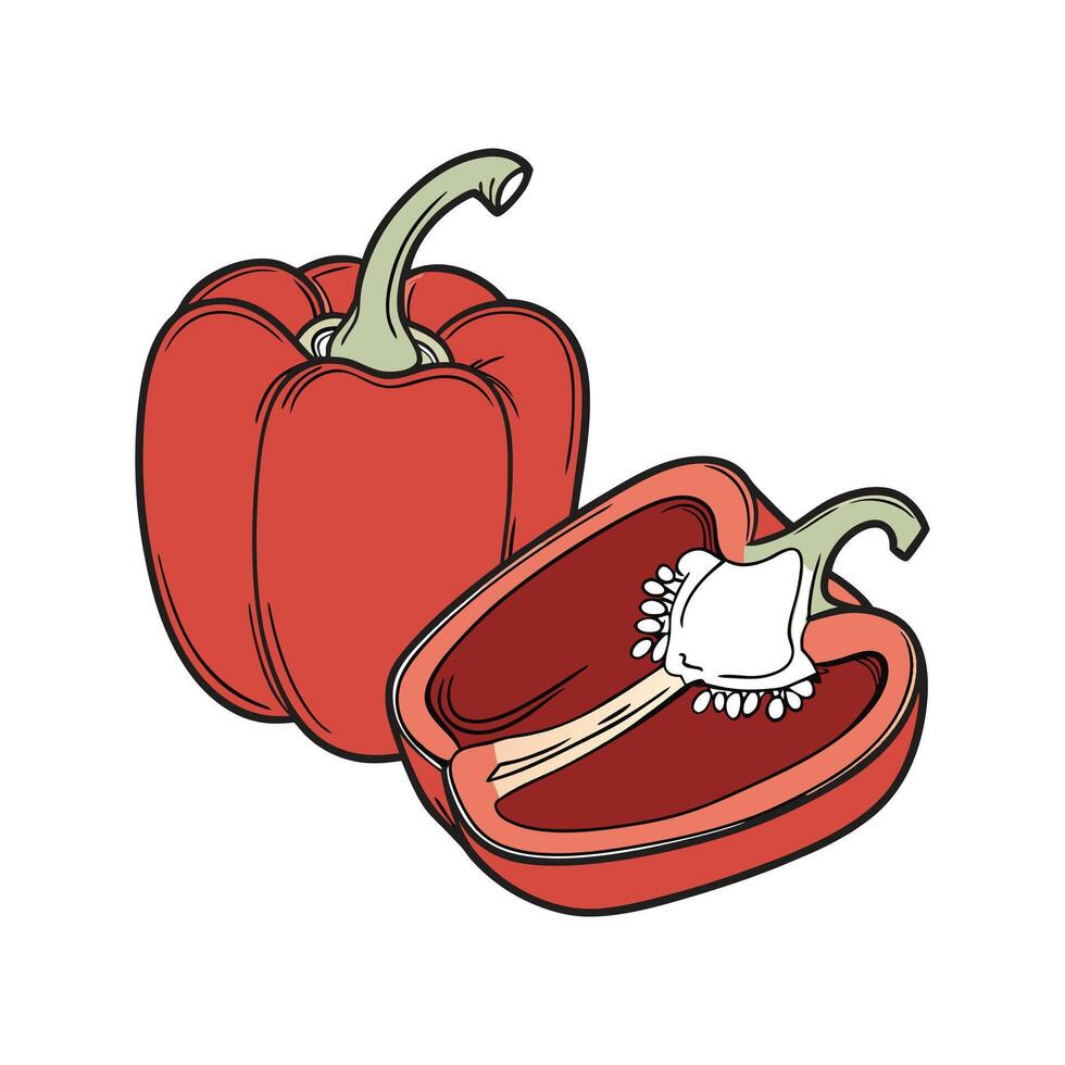 Bright Red Pepper Capsicum Display vector