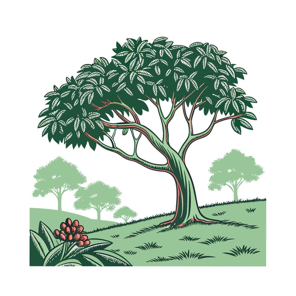 Vibrant Rubber Tree on White vector