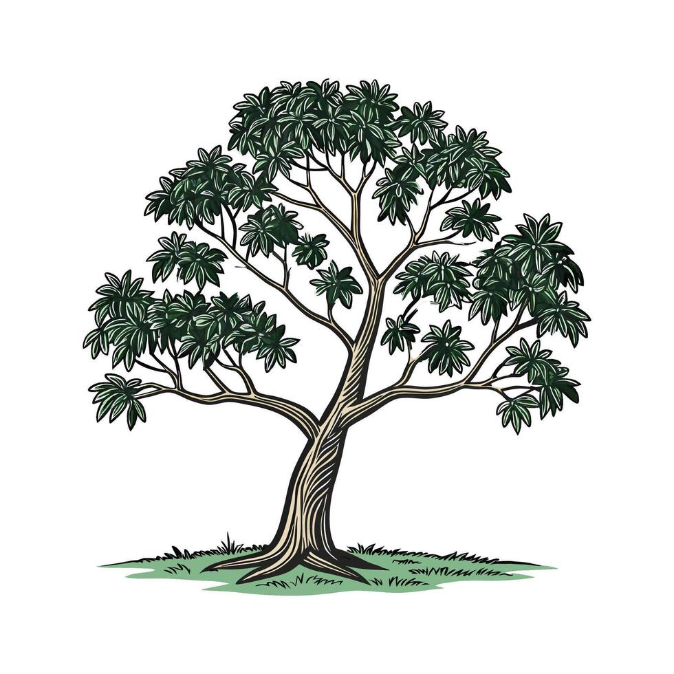 Stunning Rubber Tree Display on White vector