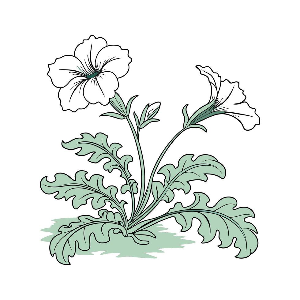 Vibrant Ruffles Plant Display vector