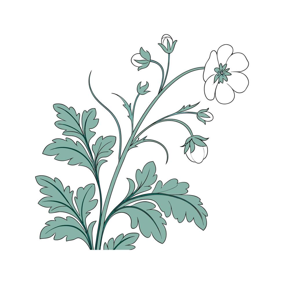 Elegant Ruffles Plant Illustration vector