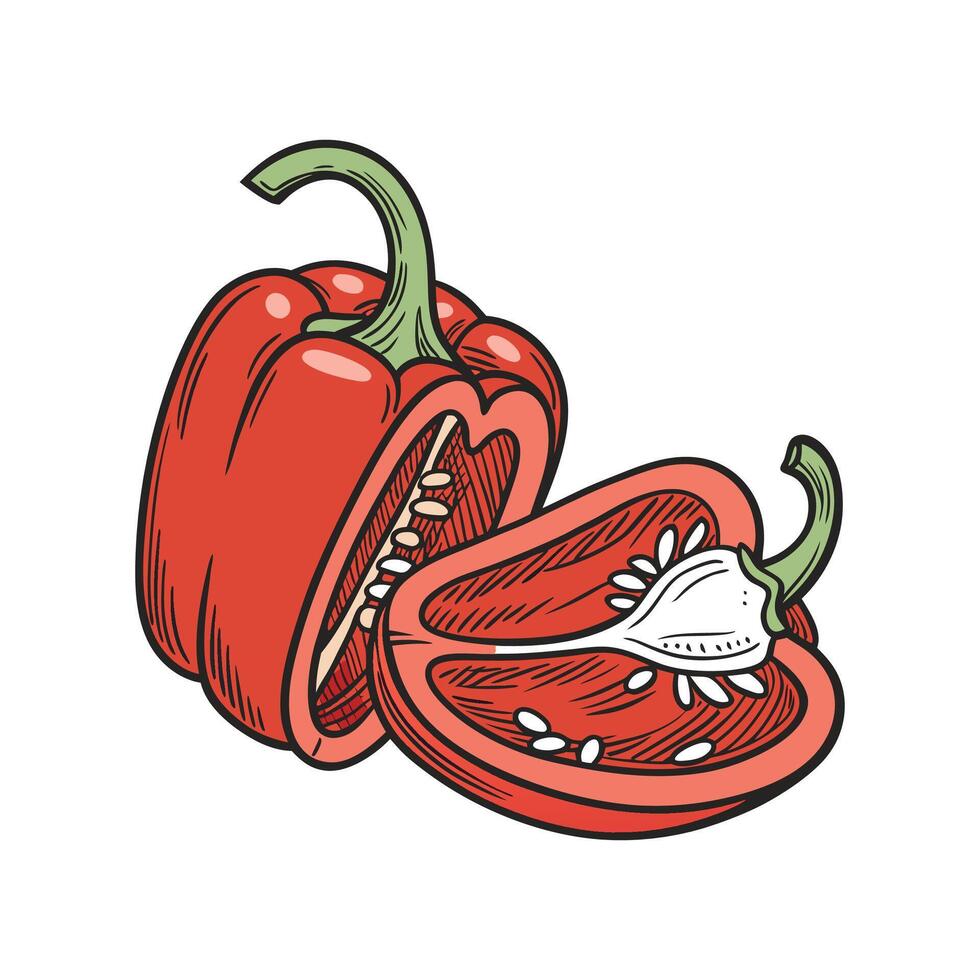 Elegant Salsa Pepper Illustration vector