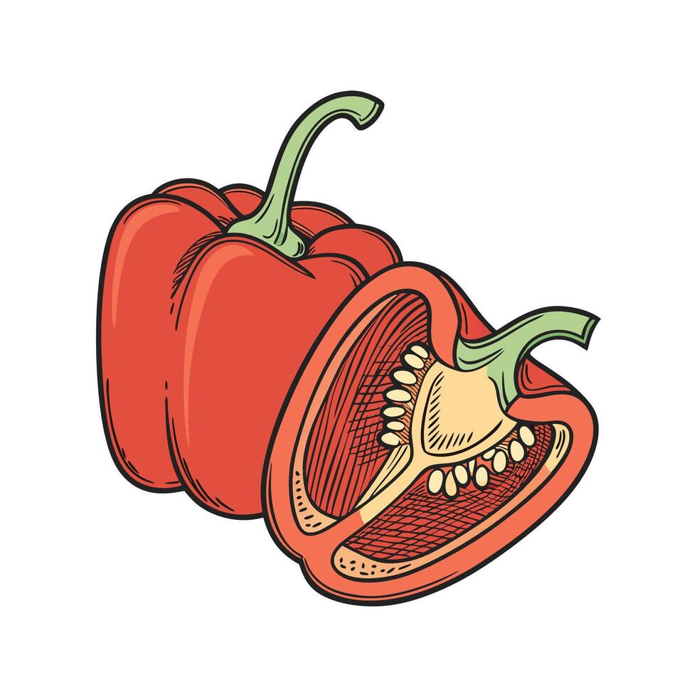 Vibrant Salsa Pepper on White Background vector