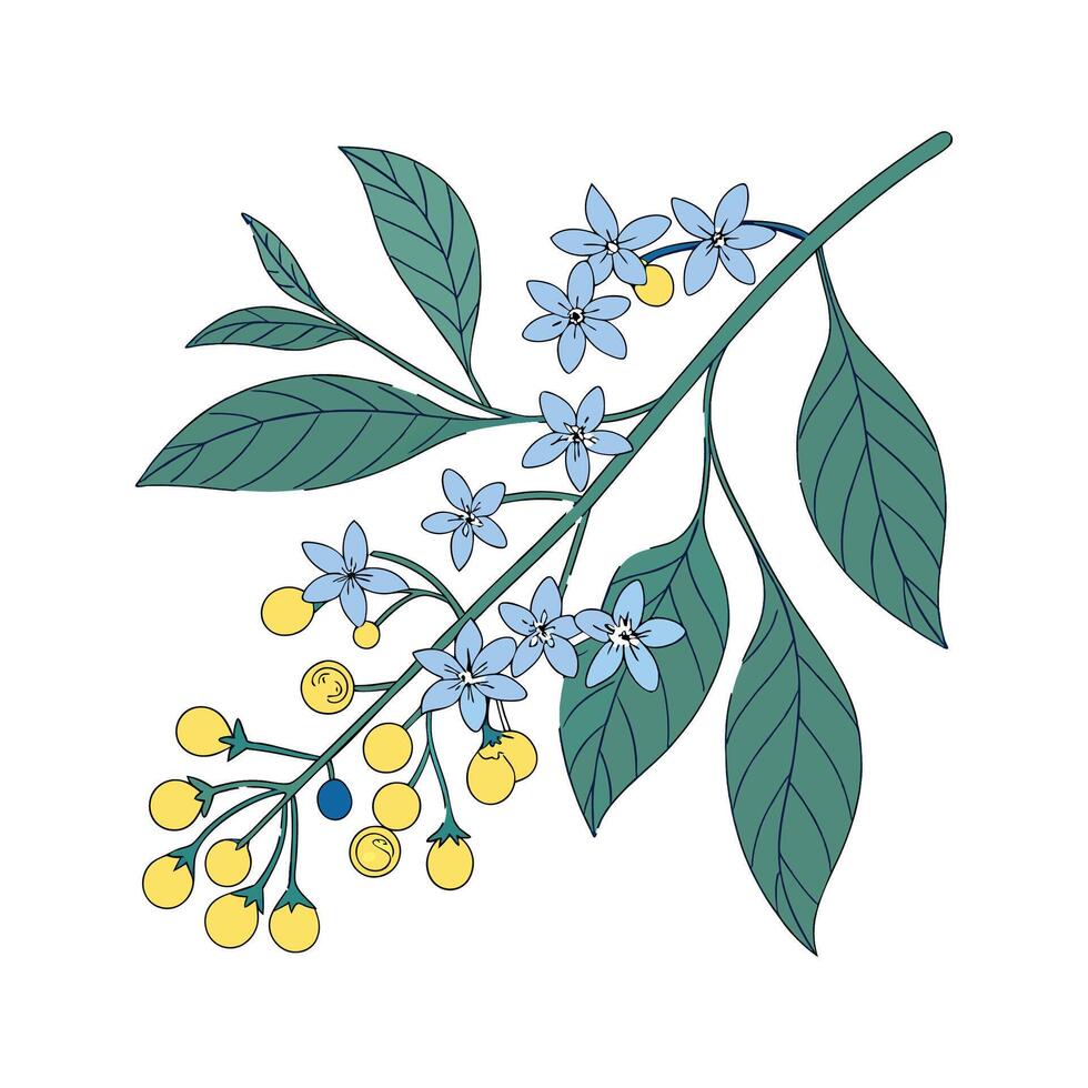 Charming Skyflower Duranta on White vector