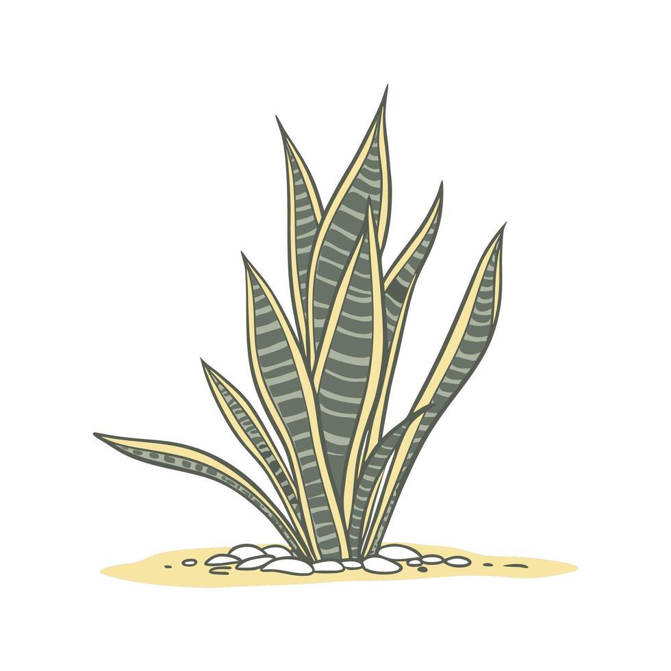 Vibrant Snake Plant with Clean Aesthetic vector