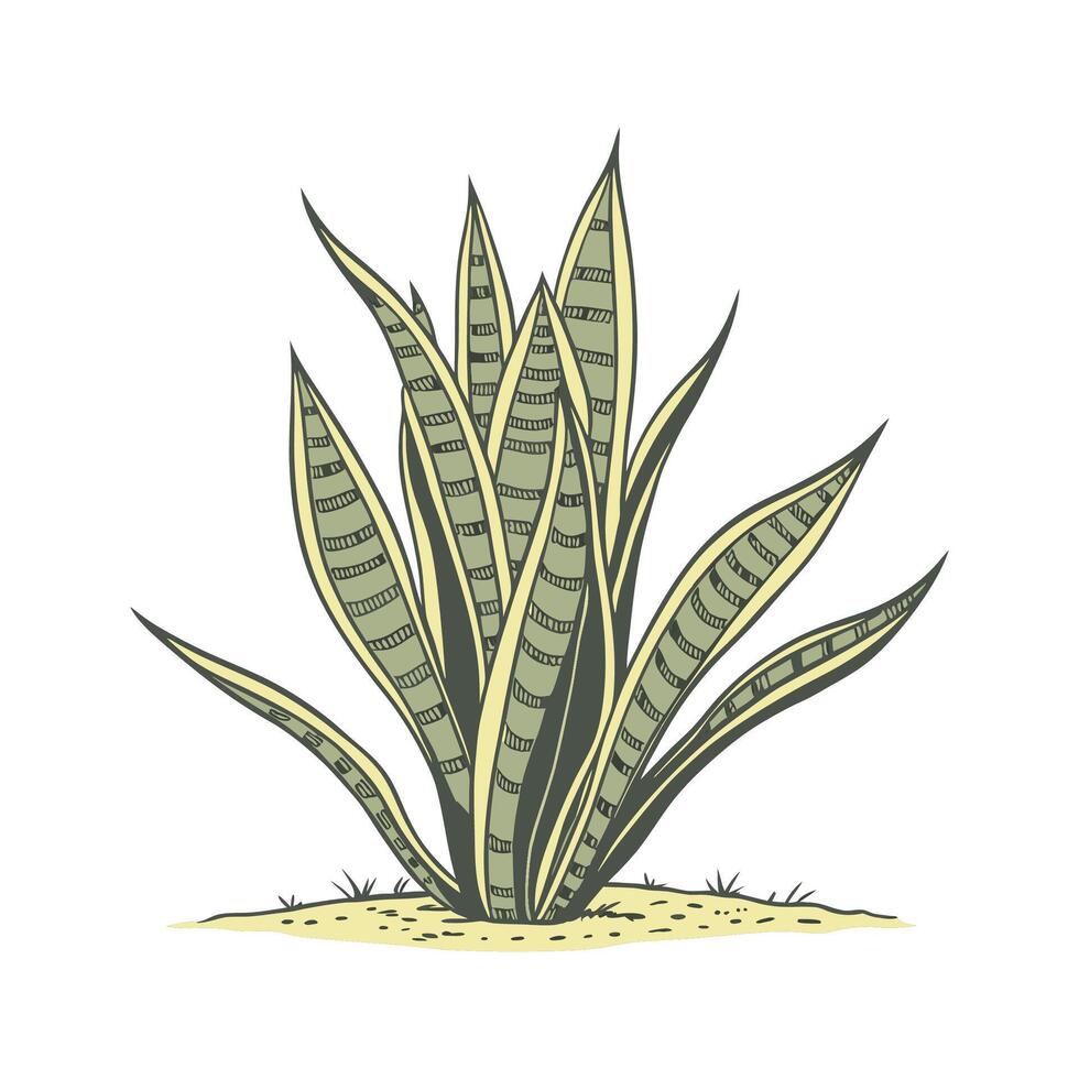 Distinctive Snake Plant Unique Design vector