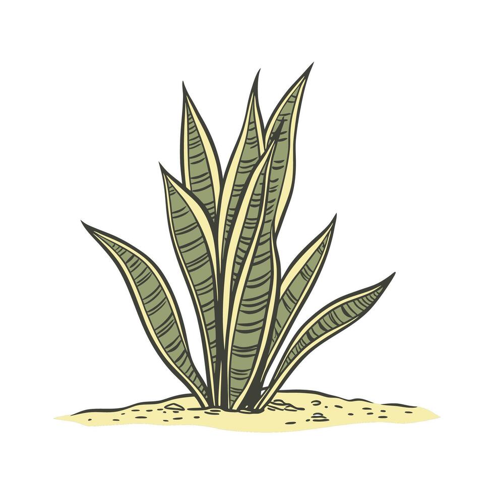 Sophisticated Snake Plant Presentation vector