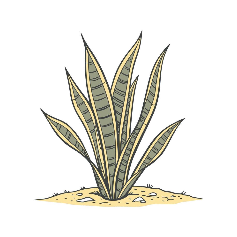 Inviting Snake Plant in Bright Space vector