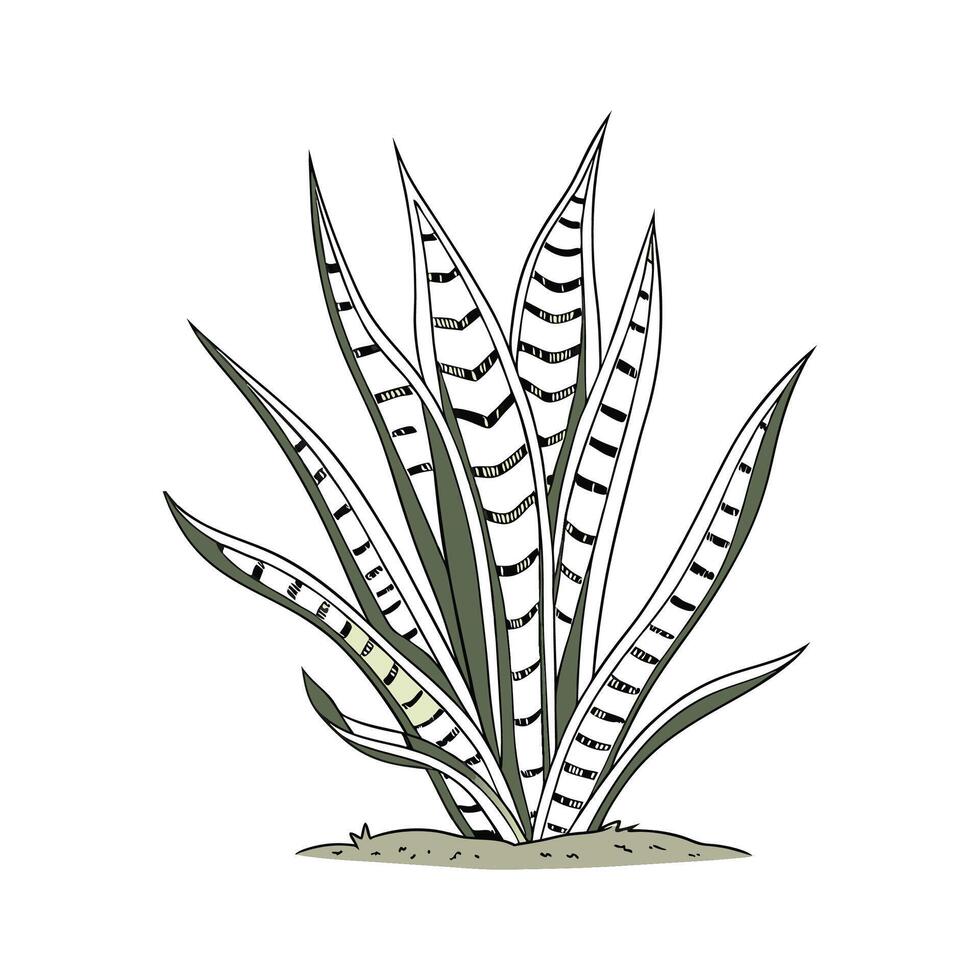 Stylish Sansevieria on Bright Background vector