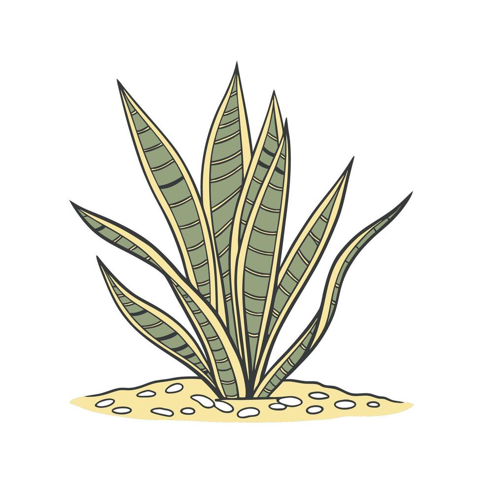 Elegant Trifasciata in Bright Space vector