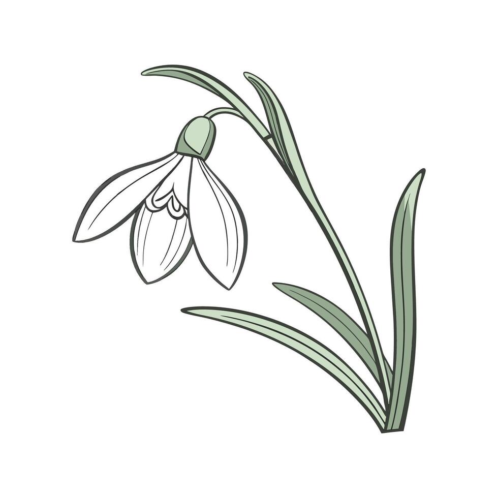 Stylish Snowdrop in Bright Space vector