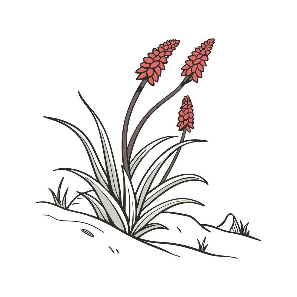 Charming Snow Plant with Clean Aesthetic vector