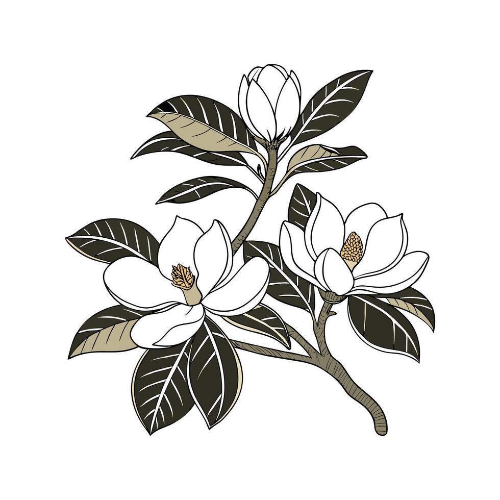 Elegant Southern Magnolia with Bright Aesthetic vector