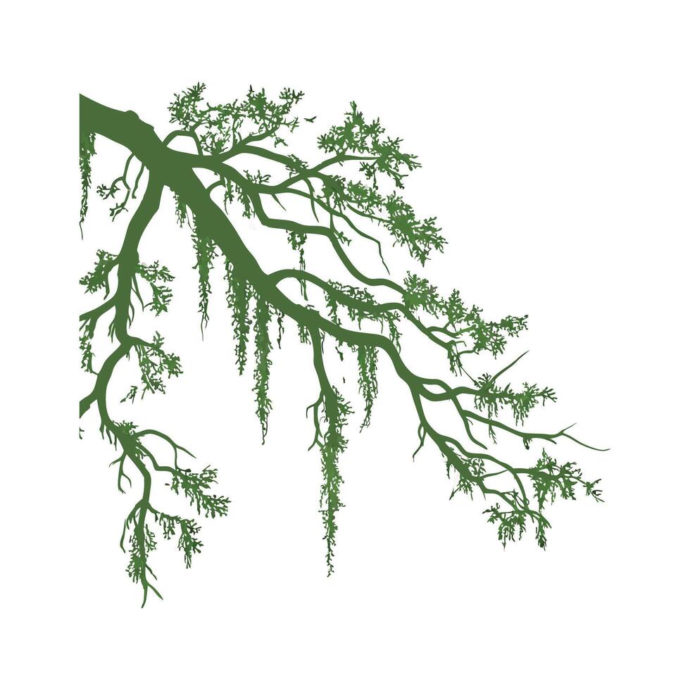Elegant Spanish Moss with Bright Aesthetic vector