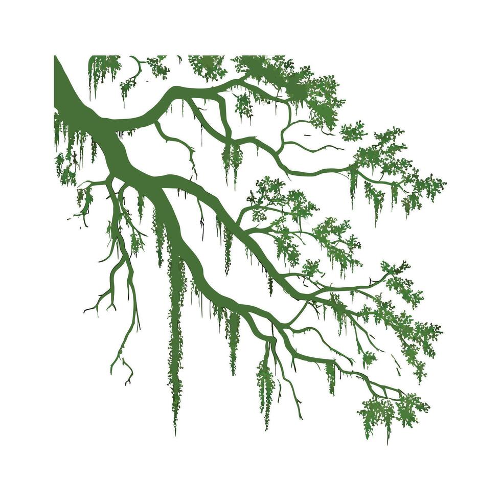 Charming Spanish Moss on Clean White vector