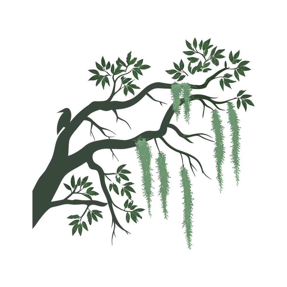 Stylish Tillandsia Moss with Clean Look vector