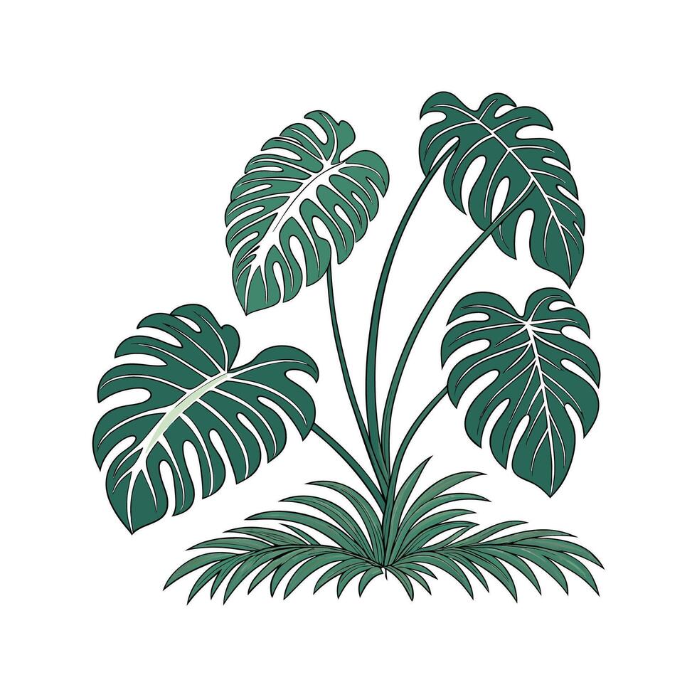 Elegant Split Leaf Philodendron Display vector