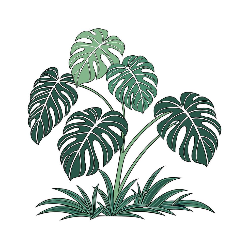 Beautiful Split Leaf Philodendron in Bright vector