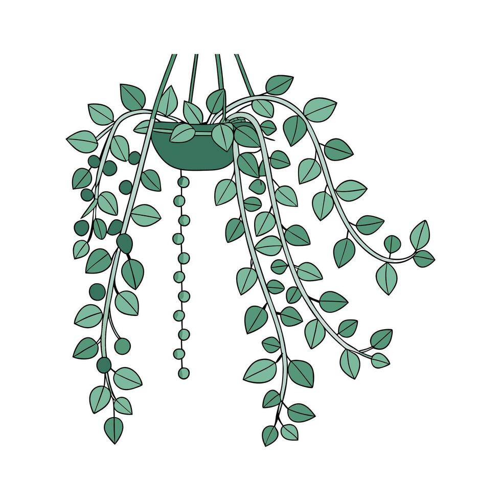 Charming String of Pearls on Clean White vector